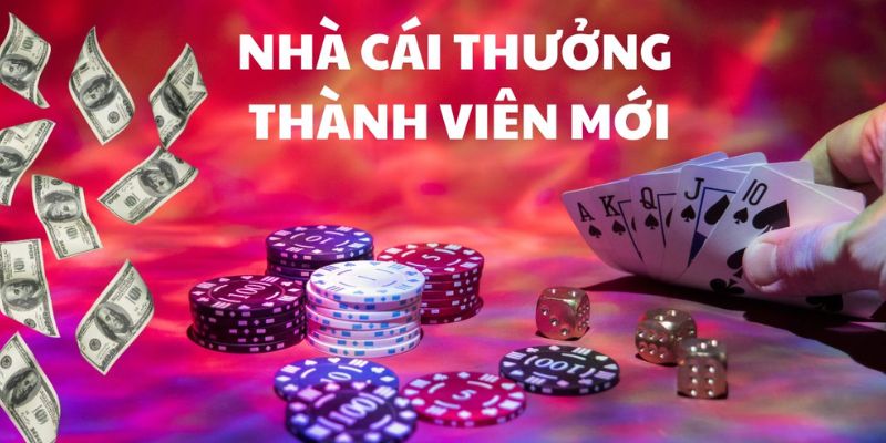 Chính sách thưởng và khuyến mãi mới nhất của nhà cái