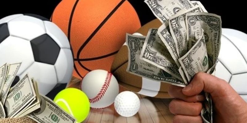 Lợi ích hấp dẫn dành cho người chơi thể thao QH88